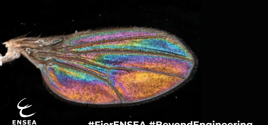 ETIS : un nouvel article publié en partenariat avec l'IRD !